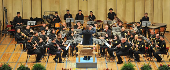 Banda Musicale Comunale "Citt� di Villa Santo Stefano"
